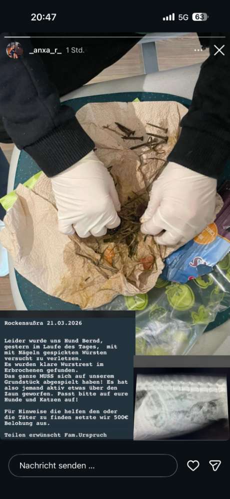 Giftköder-Würste mit Nägeln!-Profilbild