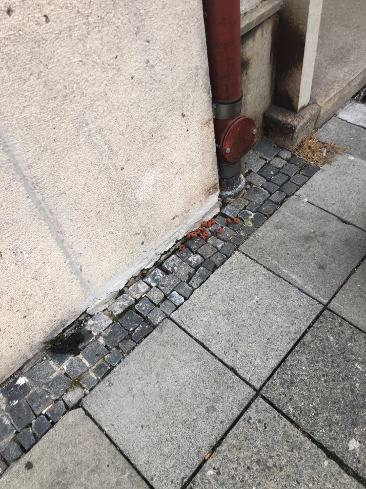 Giftköder-Womöglich Giftköder: ausgelegte Frolic-Profilbild