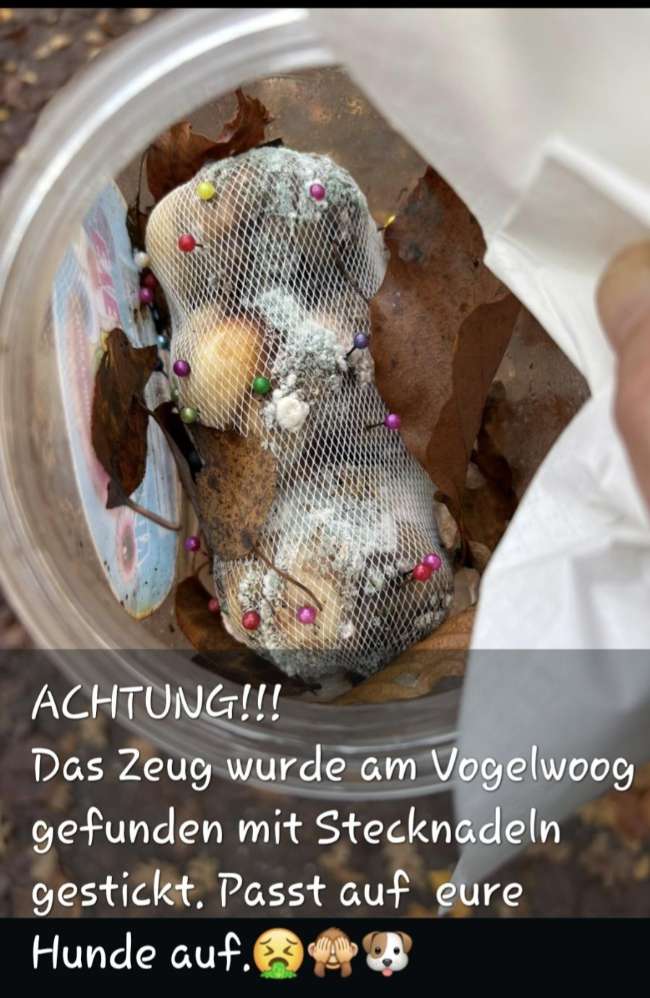 Giftköder-Gefährliche Köder am Vogelwoog-Profilbild