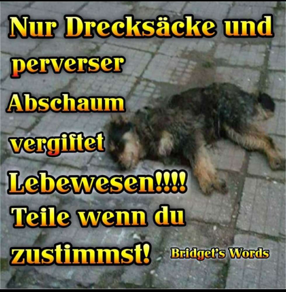 Giftköder-Zwei Hunde vergiftet-Profilbild