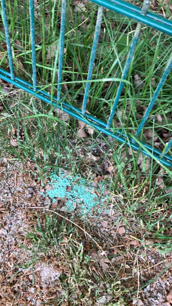 Giftköder-Eventuell Rattengift-Profilbild