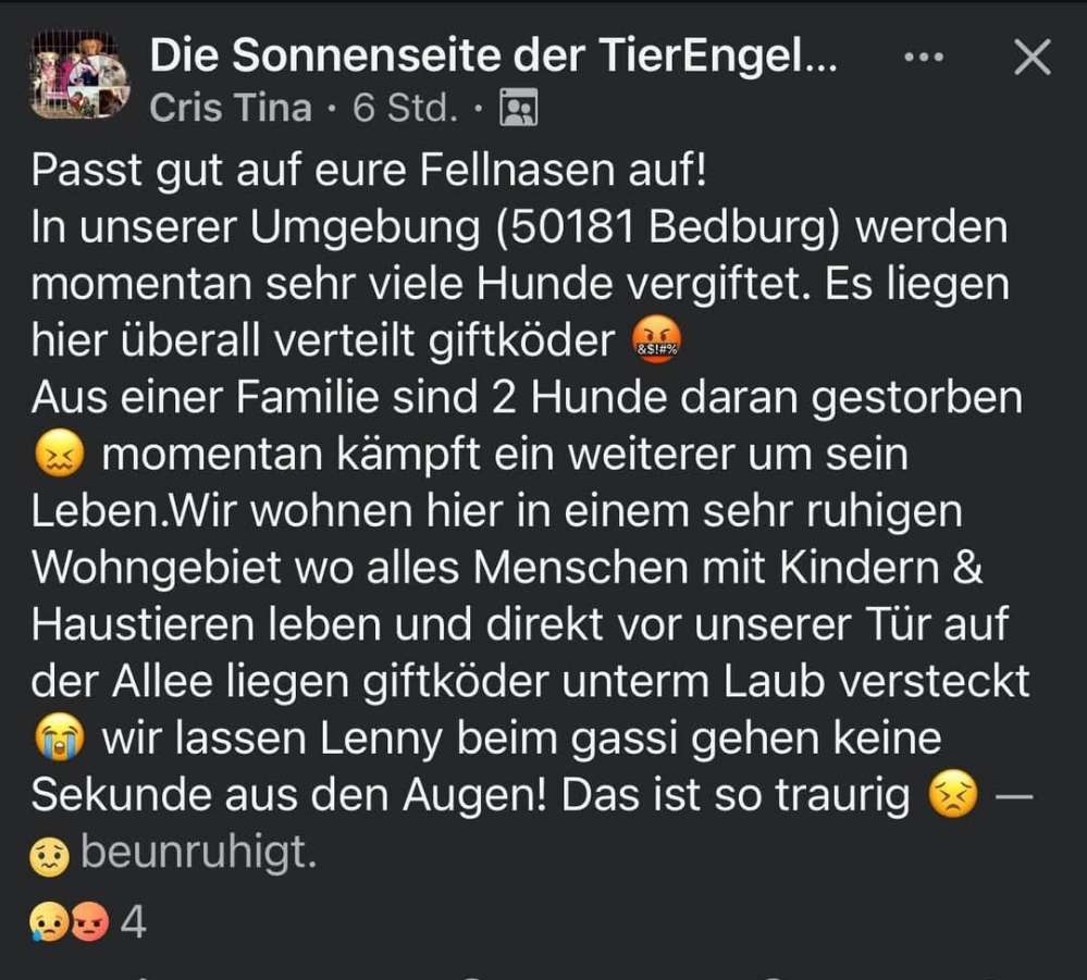 Giftköder-Giftköder-Profilbild