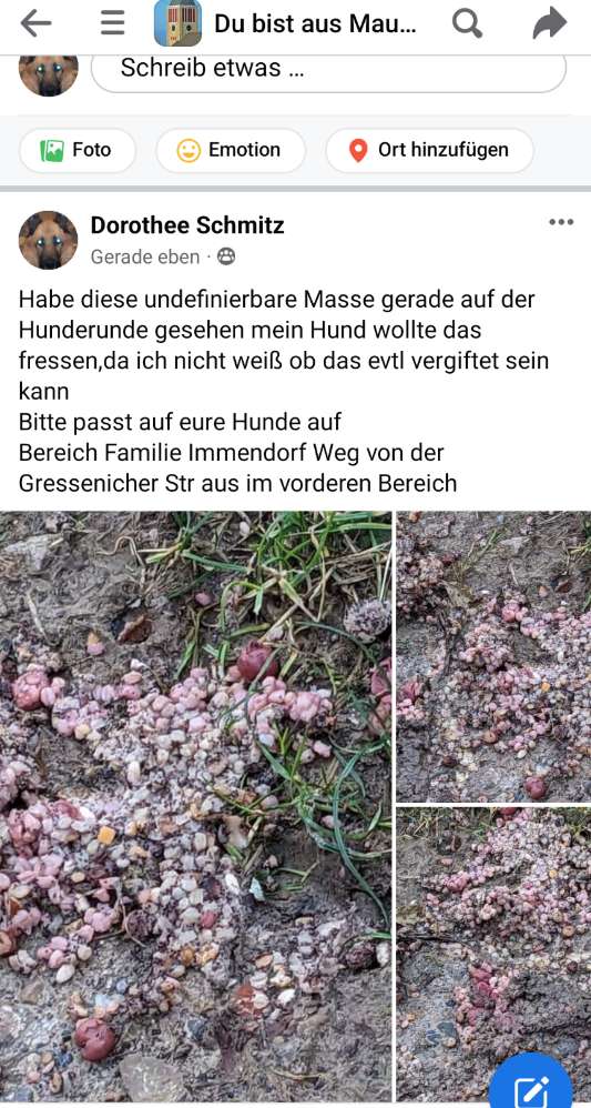 Giftköder-Giftköder-Profilbild