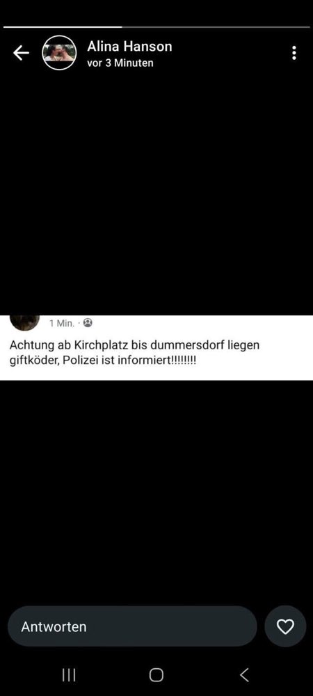 Giftköder-Giftköder Dummersdorf Kücknitz-Profilbild