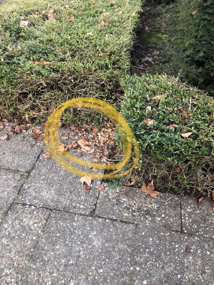 Giftköder-Verdächtige Brotstückchen-Profilbild