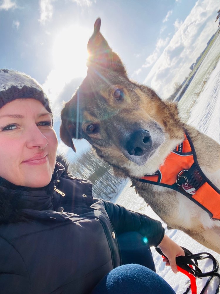 Hundetreffen-Hundebegegnungen üben-Profilbild