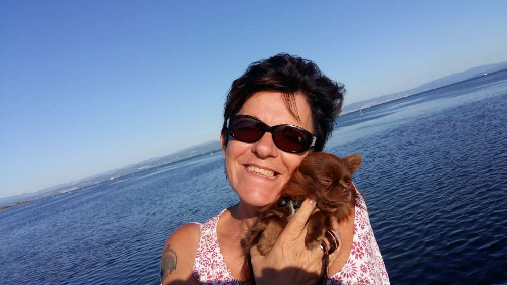 Hundetreffen-Kleinhundtreffen-Profilbild