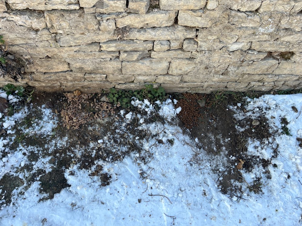 Giftköder-Giftköderverdacht-Profilbild