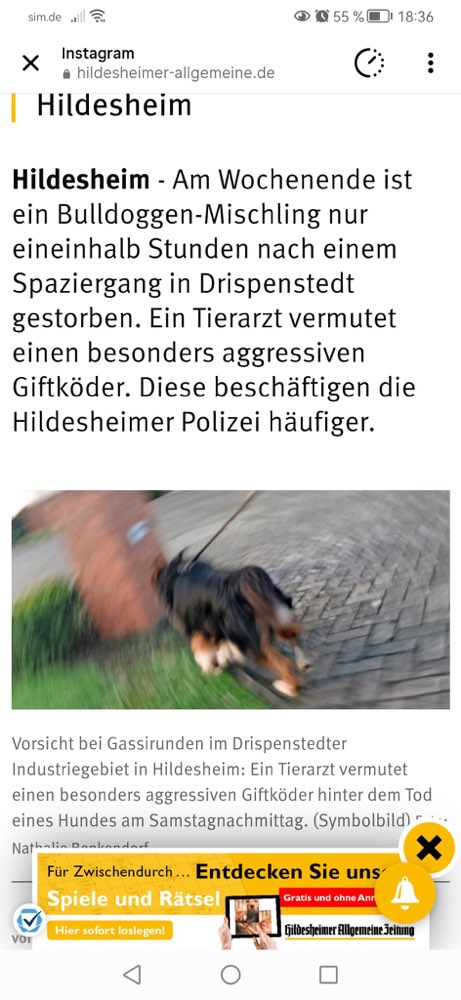 Giftköder-Giftköder-Profilbild