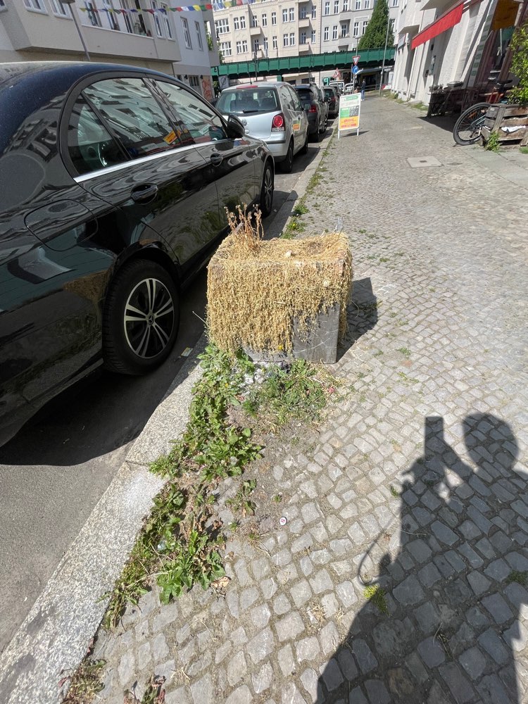 Giftköder-Weißes Pulver an Pflanzenkübel-Profilbild