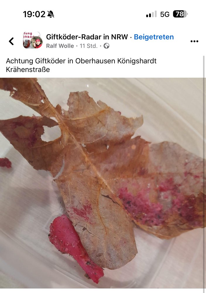 Giftköder-Giftköder gefunden-Profilbild