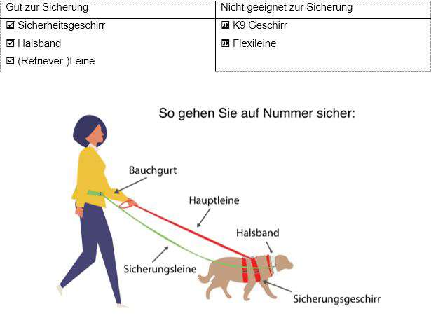 Giftköder-Prüfung zur Schussfestigkeit-Profilbild