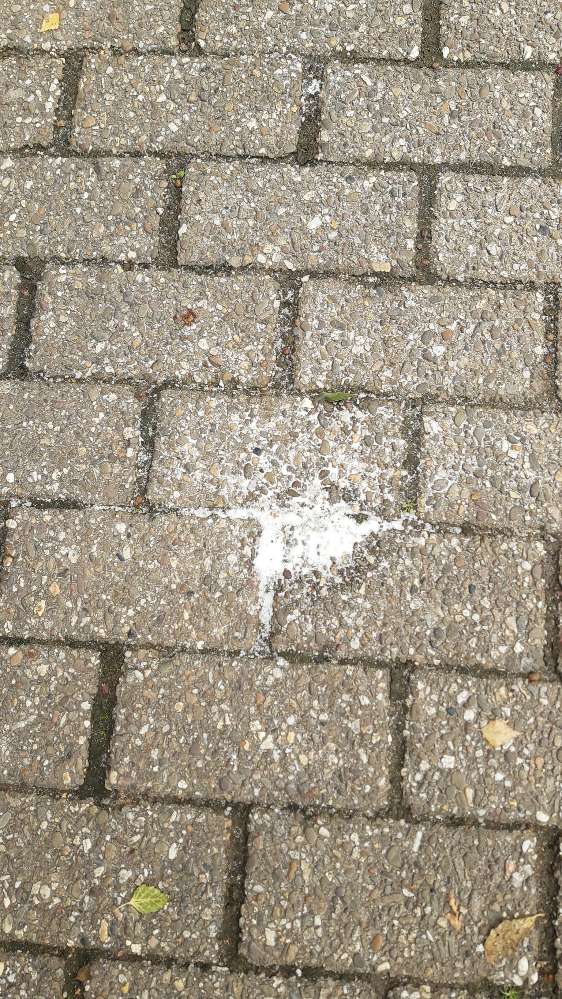 Giftköder-Weißes Pulver-Profilbild