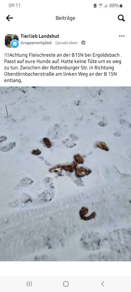 Giftköder-Achtung Fleischstücke-Profilbild