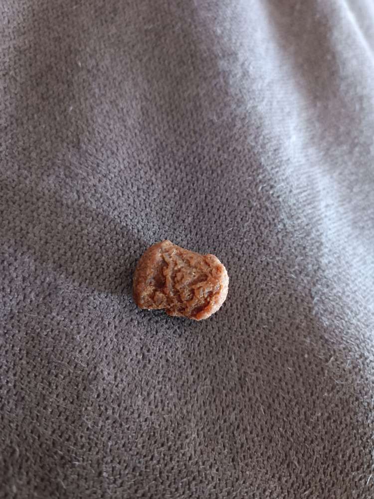 Giftköder-Giftköderverdacht Hildesheim Bockfeld-Profilbild