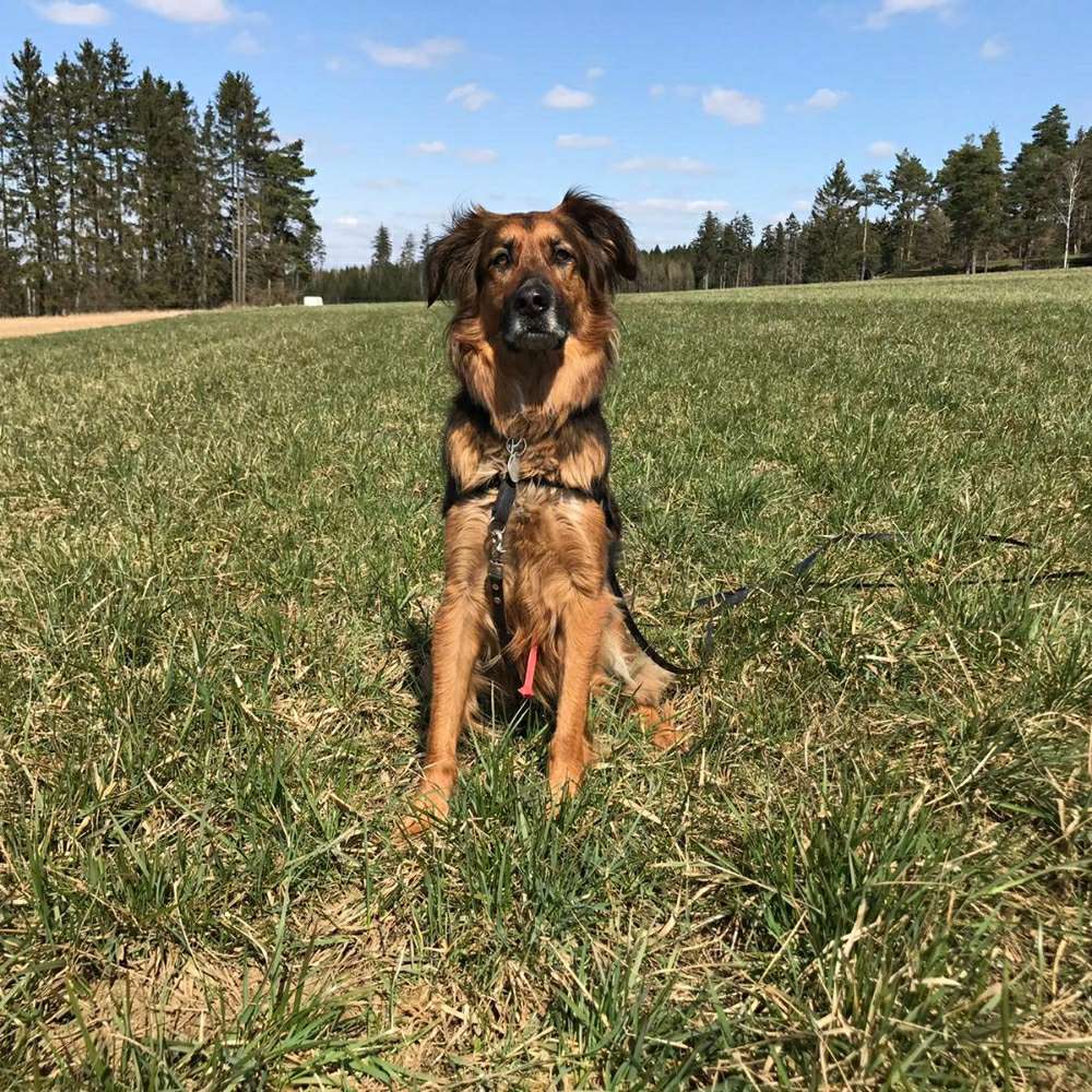 Suchmeldung-Jenna-Profilbild