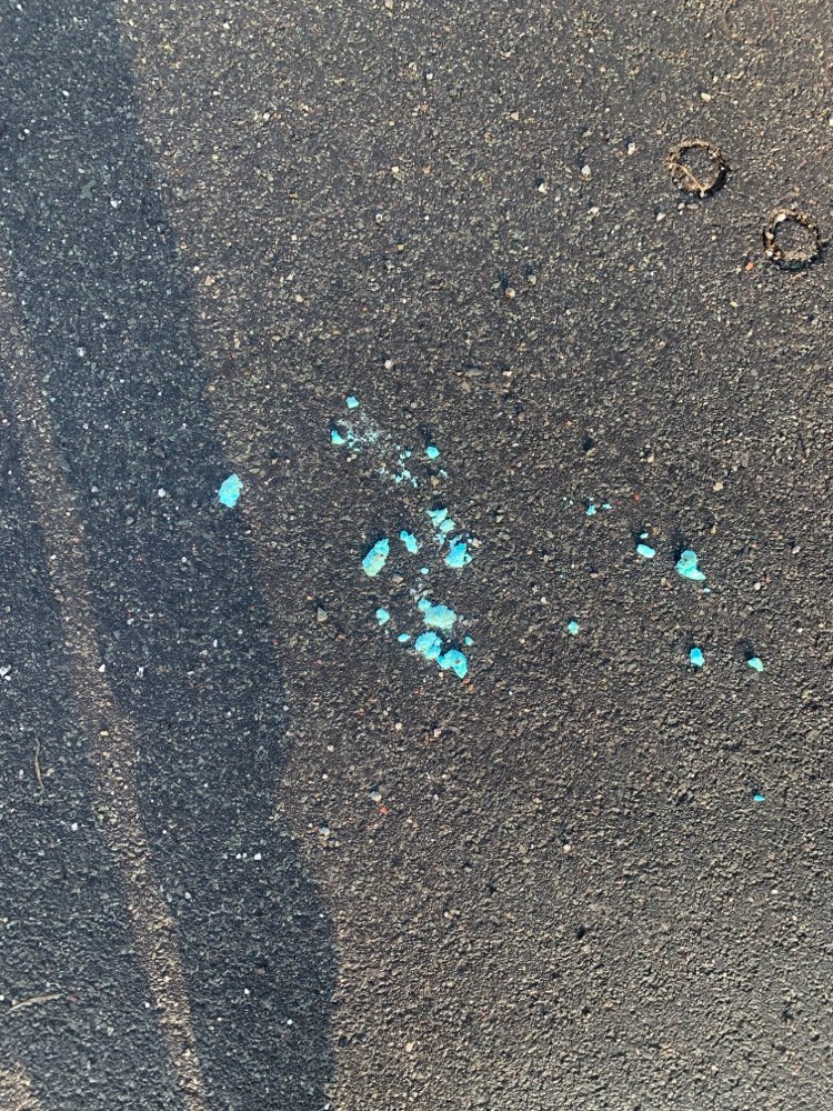 Giftköder-Giftköder am Ufer der Brückenstraße!-Profilbild