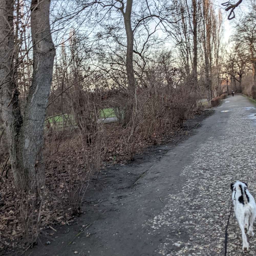 Hundetreffen-Hundespaziergang am Silbersee-Profilbild