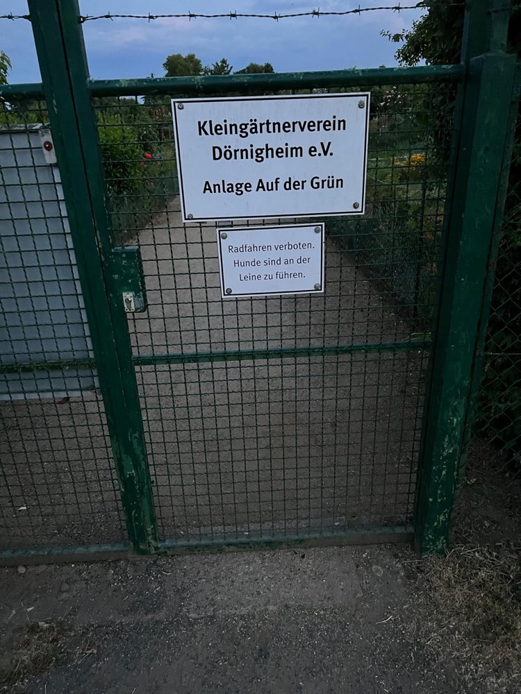 Giftköder-Waschbärkadaver im Gras-Profilbild