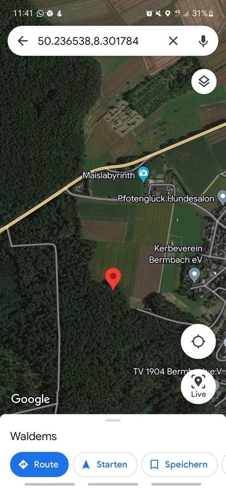 Giftköder-Undefinierbares Gift-Profilbild