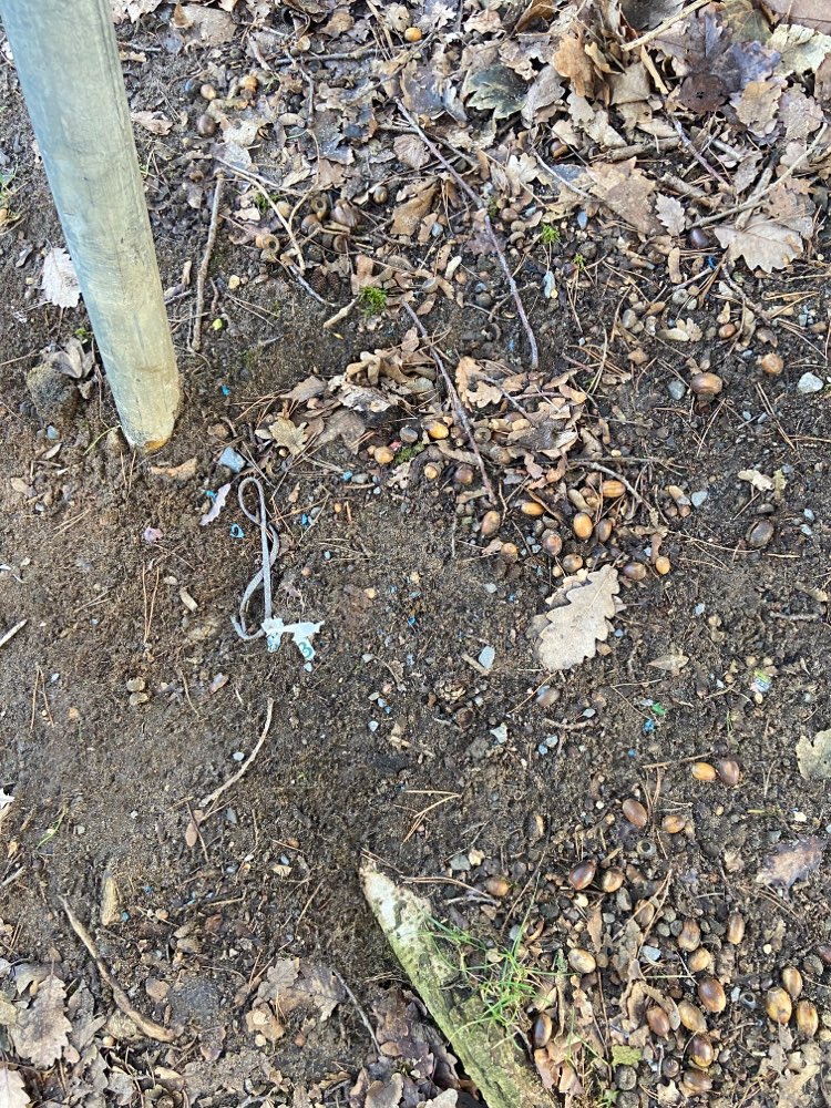 Giftköder-Giftköder Waldsee Krähenwinkel!-Profilbild