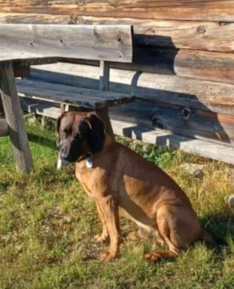 Suchmeldung-Enno-Profilbild