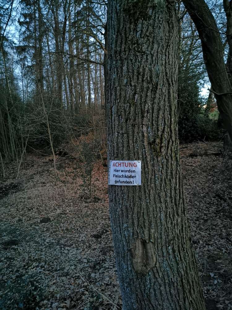 Giftköder-Giftködergefahr-Profilbild