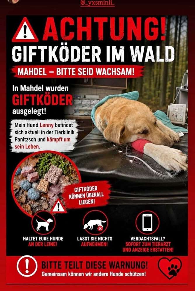 Giftköder-Giftkörder gesichtet-Profilbild