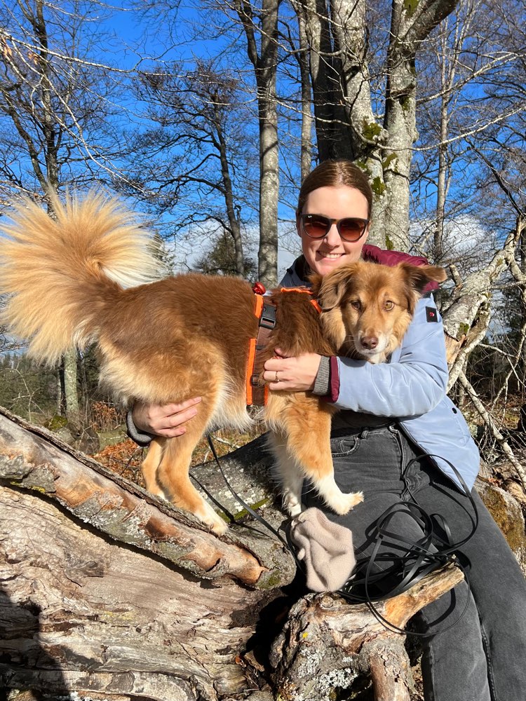 Hundetreffen-Gemeinsam spazieren-Profilbild