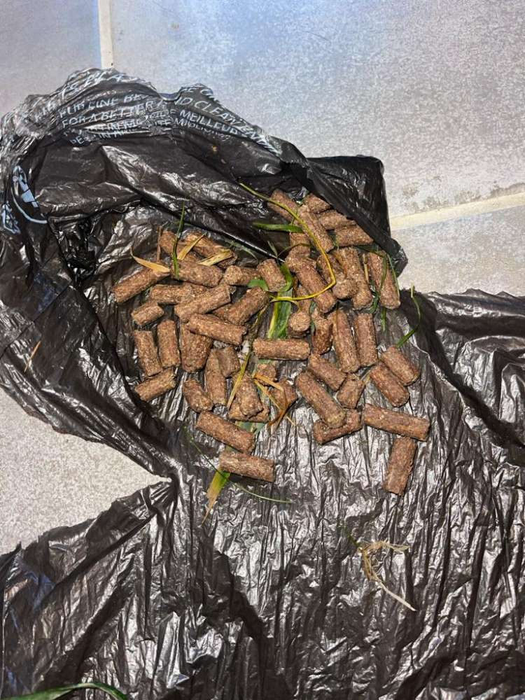 Giftköder-Futter-Profilbild