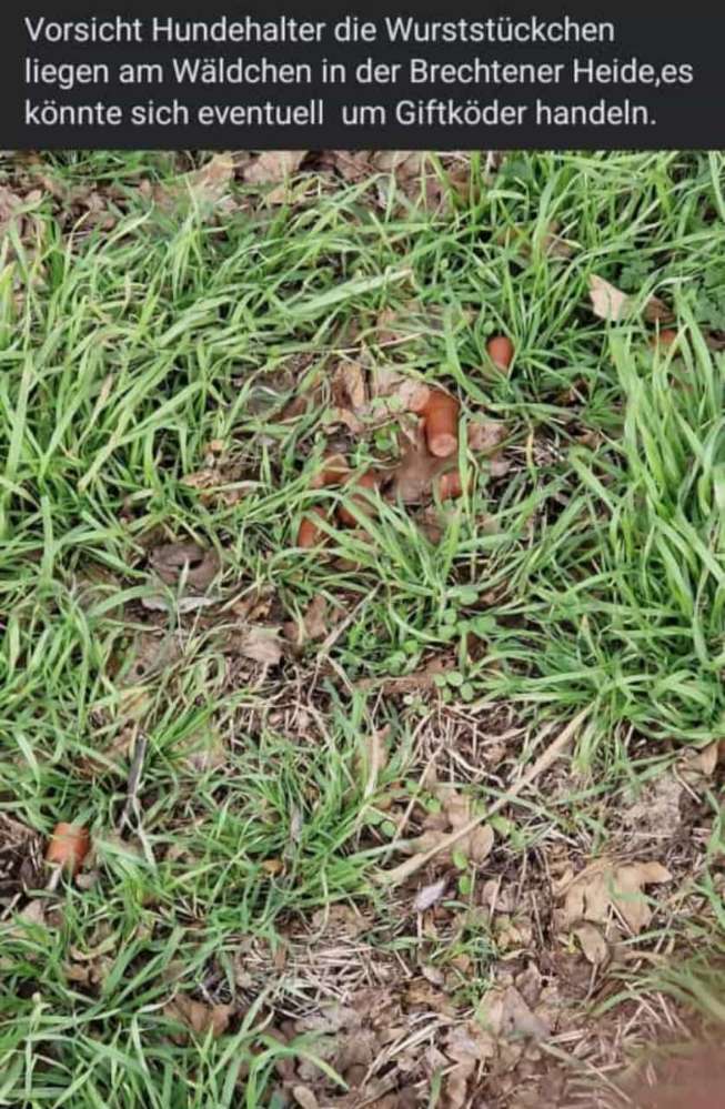 Giftköder-Wurststücke-Profilbild