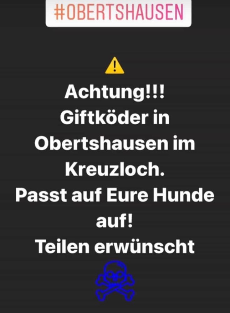 Giftköder-Giftköder-Profilbild