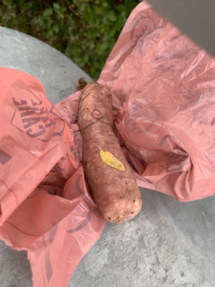 Giftköder-Rohe Wurst - eventuell Giftköder-Profilbild