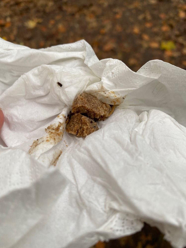 Giftköder-Futter in Laub-Profilbild