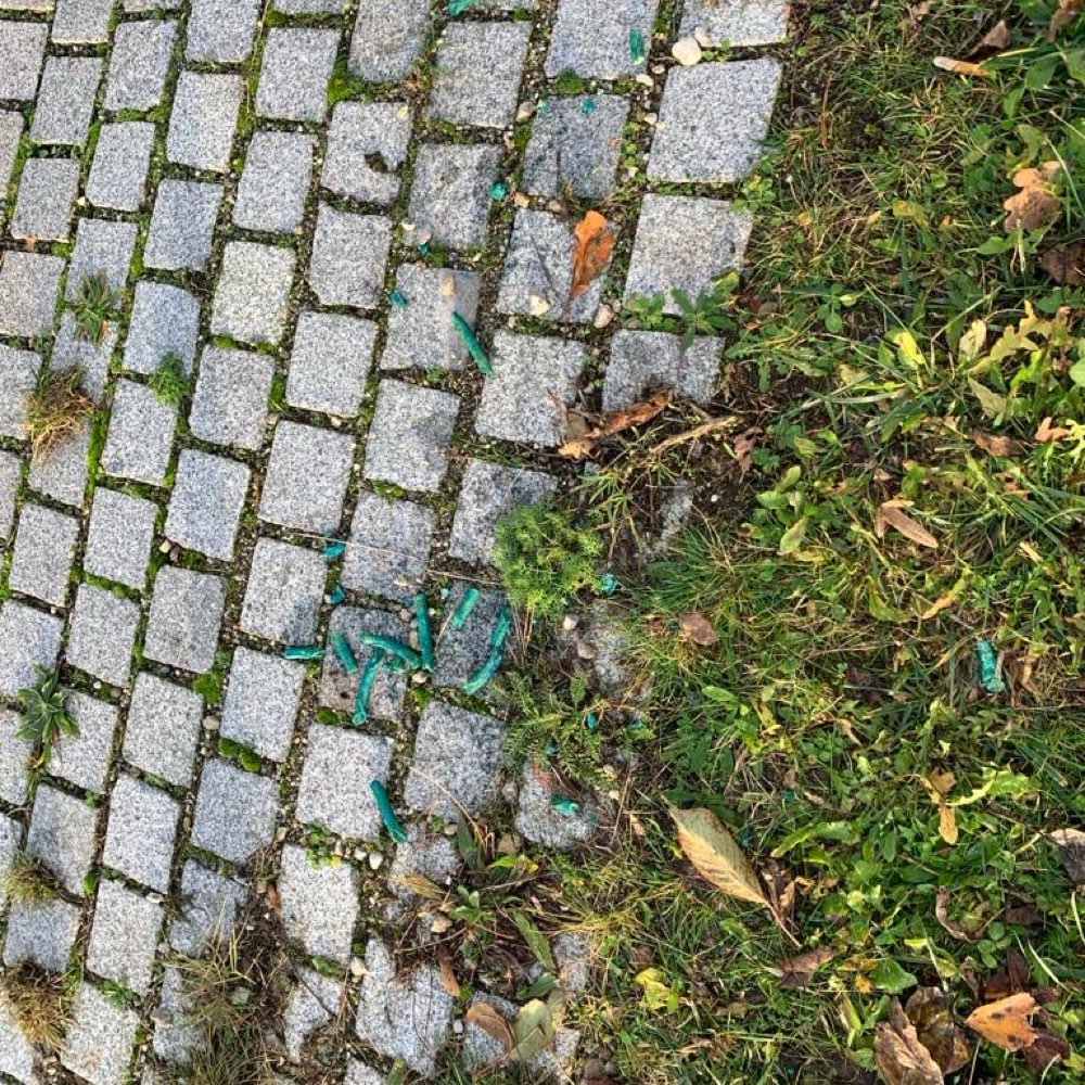 Giftköder-Grüne Nudeln o. ä.-Profilbild