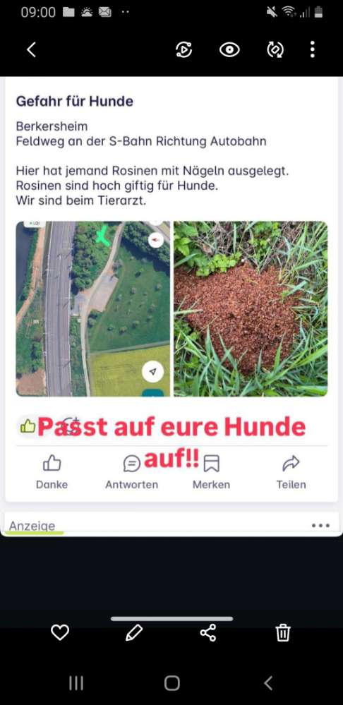 Giftköder-Rosinen mit Nägel-Profilbild