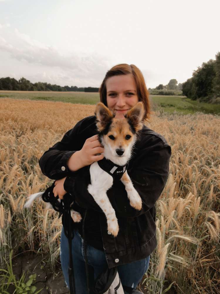 Hundetreffen-Hundefreunde gesucht 🐾-Profilbild