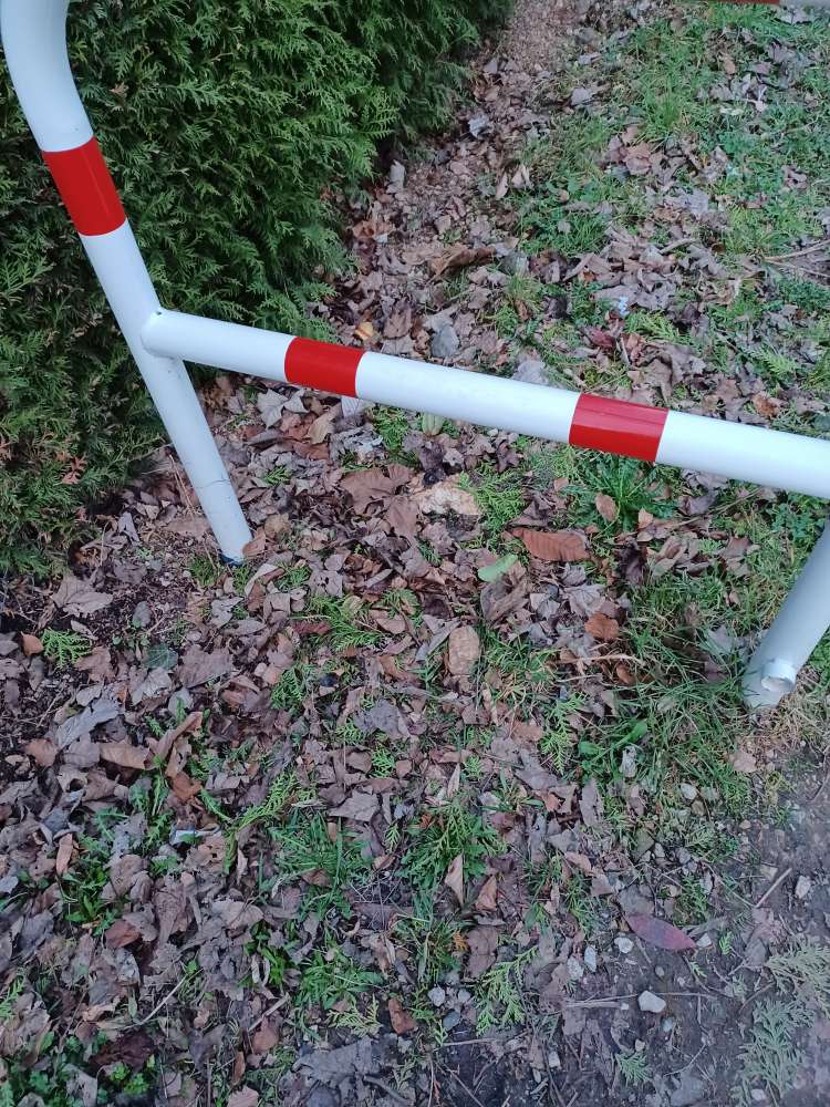 Giftköder-Möglicher Giftköder-Profilbild