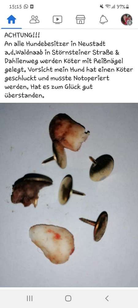 Giftköder-Giftköder-Profilbild