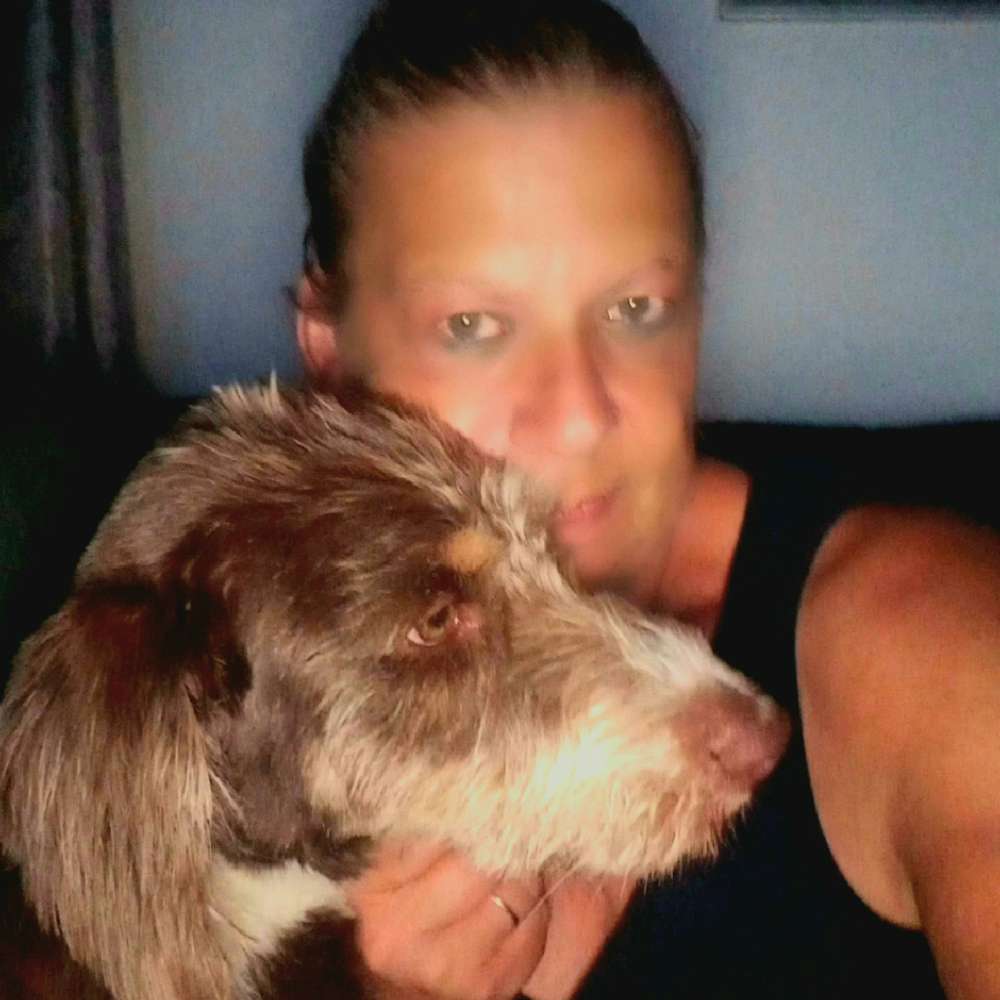 Hundetreffen-Gassirunde-Profilbild