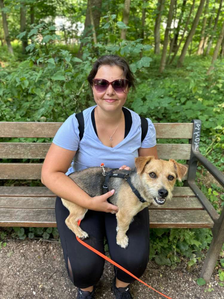 Hundetreffen-🐾Spazieren & Spielen 🐶-Profilbild