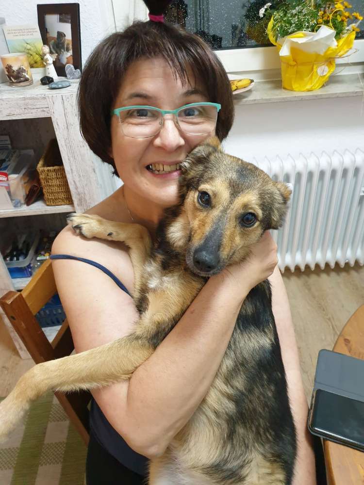 Hundetreffen-Spielrunde-Profilbild