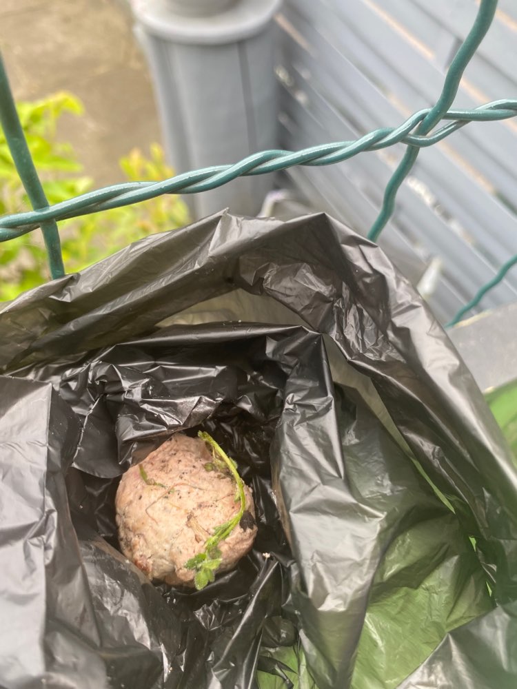 Giftköder-Möglicher Giftköder in Leberwurst-Profilbild