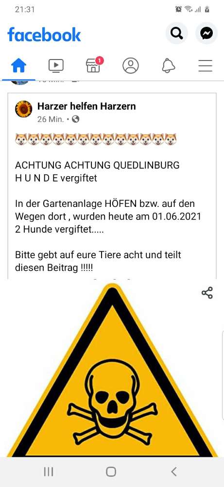 Giftköder-Giftköder-Profilbild