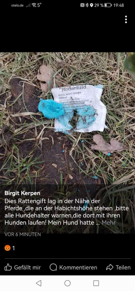 Giftköder-Rattengift-Profilbild