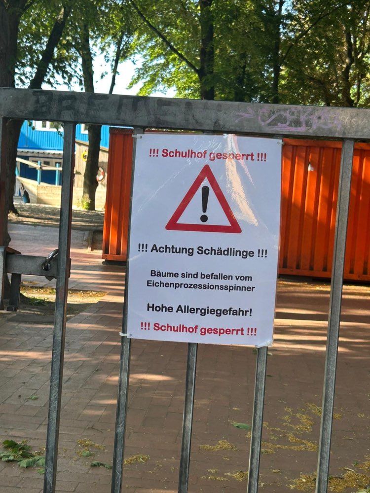 Giftköder-Eichenprozessionsspinner-Profilbild