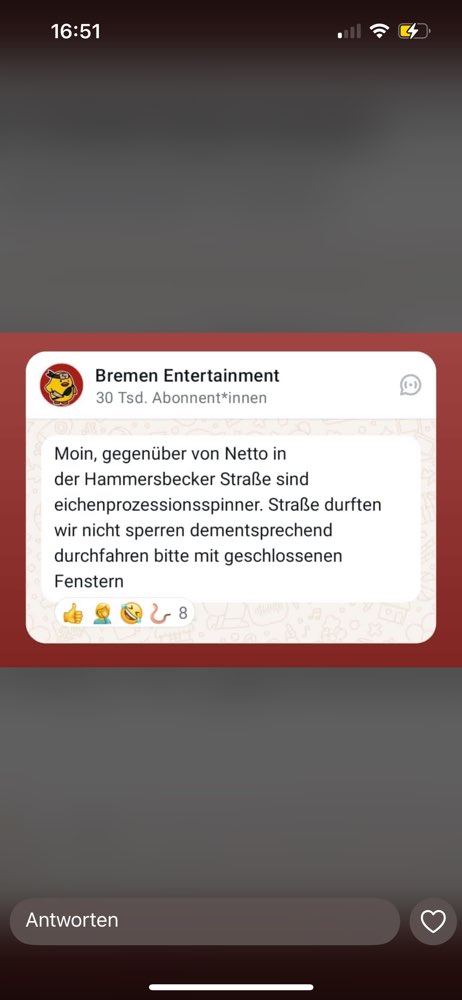 Giftköder-Eichenprozessionsspinner-Profilbild