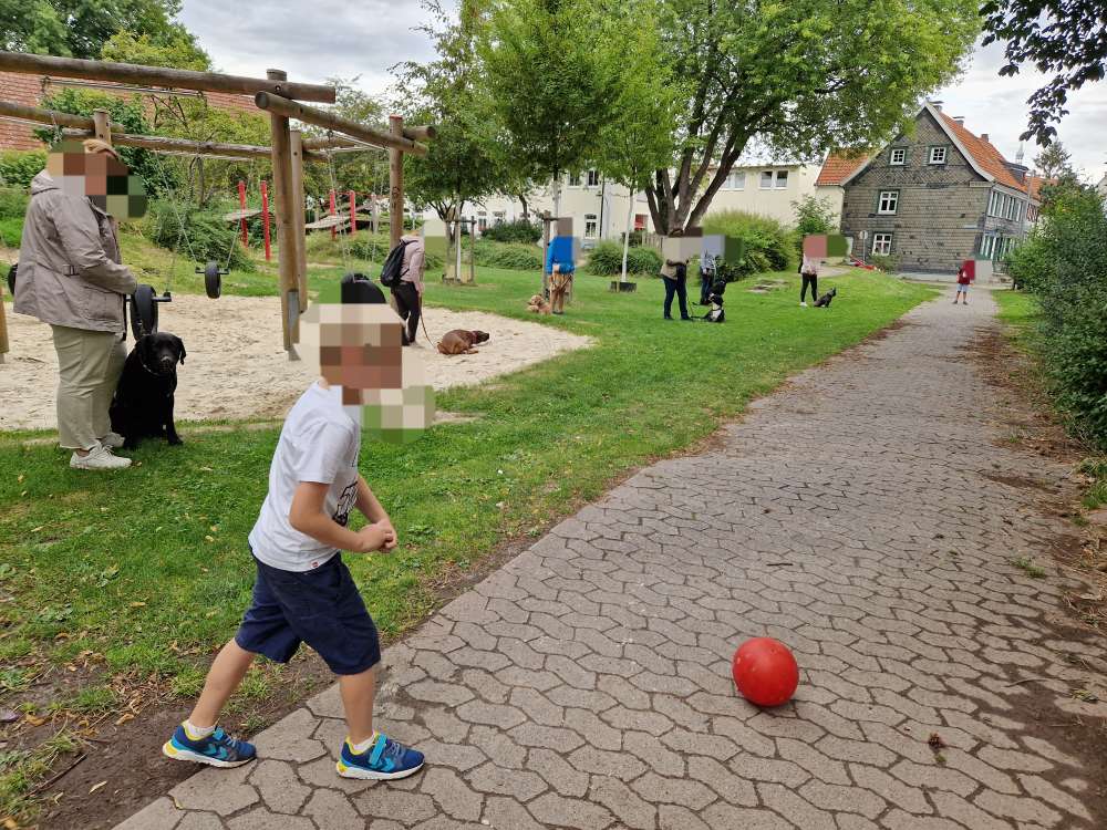 Hundetreffen-Alltagstraining-Profilbild