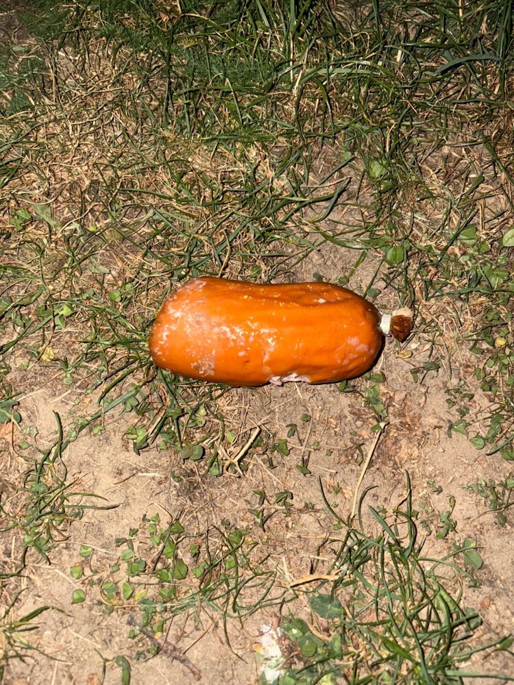 Giftköder-Verdacht auf Giftköder-Profilbild