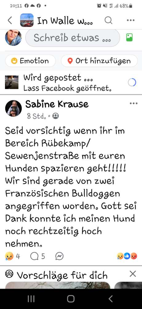 Giftköder-Angriff von Hunden-Profilbild